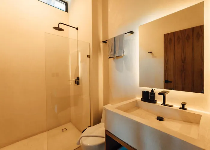 Kinich Nah - 2 Bedroom Penthouse Rooftop And Pool Amazing Jungle View Apartment