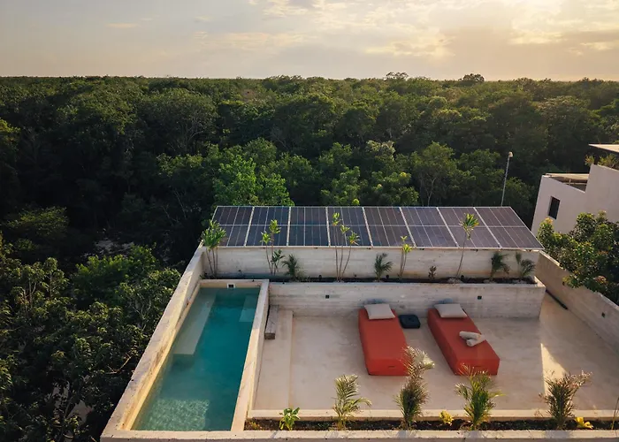 Kinich Nah - 2 Bedroom Penthouse Rooftop And Pool Amazing Jungle View Apartment *